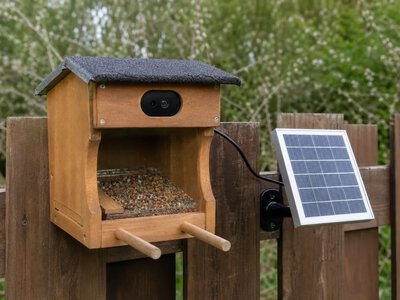 Огляд TT Nature показав переваги й недоліки бюджетної годівниці з камерою