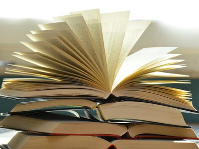 Любов між окупантом і херсонкою: українців обурила скандальна книга німецької письменниці
