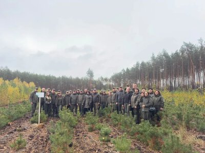У Ратнівському надлісництві вивчали сучасні підходи до відтворення лісів