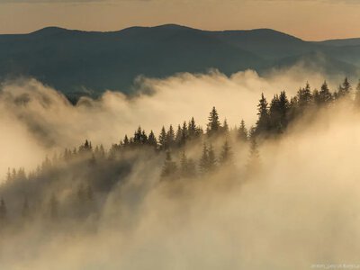 Де в Україні йтимуть дощі, а де пануватимуть тумани - синоптики дали прогноз на 20 жовтня
