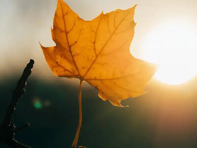 Після дощів на Черкащині буде більше сонця