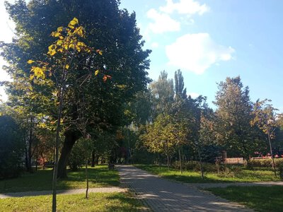 Погода в Україні 20 жовтня: повітря прогріється до +21°