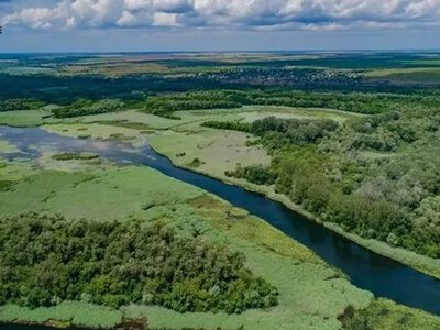 Суд повернув державі 0,24 гектара землі нацпарку «Нижньодніпровський»