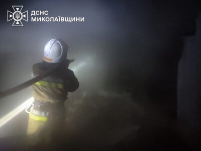 На Миколаївщині з початку року через печі сталося 53 пожежі