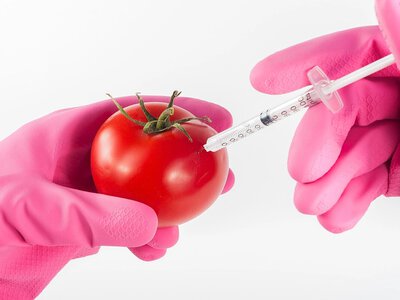 Уряд посилив нагляд за ГМО: продукцію з порушеннями зможуть вилучати