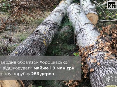 Зрубали 286 дерев на площі понад 3 га: суд зобов’язав Хорошівську громаду відшкодувати збитки