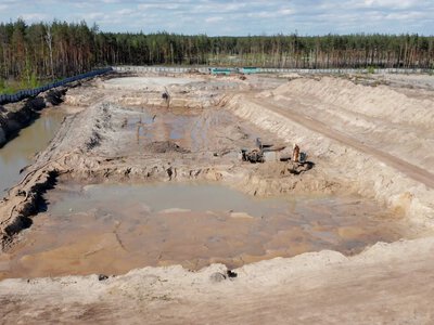 Понад 25 млн грн запропонували за три бурштинові ділянки на Рівненщині