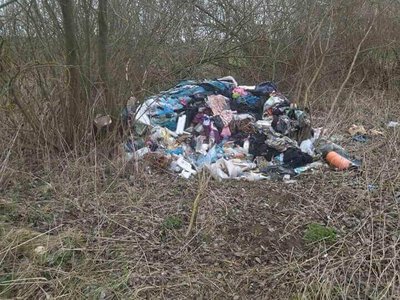 На Локачинщині виявили 15 стихійних сміттєзвалищ: збитки можуть сягнути 485 тисяч гривень