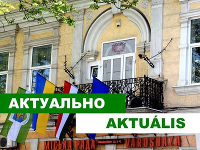 Берегівська міськрада звітує про наслідки перевірки Держаудитслужби за 2022–2025 роки