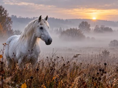 На Хмельниччині 21 жовтня прогнозують туман і до +17°
