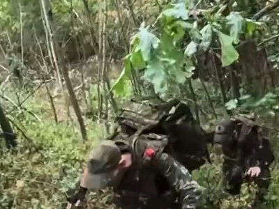 На Сумщині специ ГУР зачистили понад 600 га лісу і взяли 29 полонених росіян