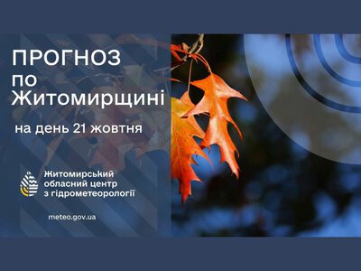 На Житомирщину повернеться тепло до +17°, але ненадовго
