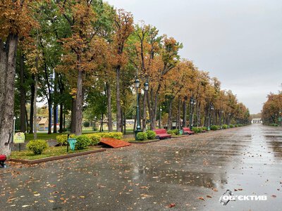 Дощ і вдень до +16. Прогноз погоди на 21 жовтня у Харкові й області