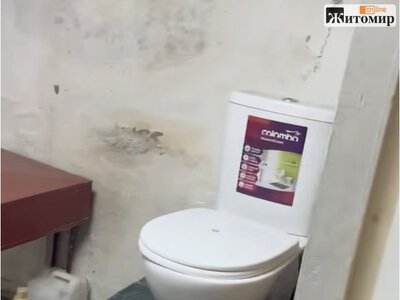 У Житомирі показали підвал, який називають укриттям ЖДУ: студенти скаржаться на холод і просять дистанційку