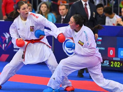 Польща затримала 15 росіян та білорусів, які намагалися потрапити на ЧС з карате