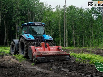 На Житомирщині та Київщині лісівники доглянули 17,5 тис. га молодих насаджень