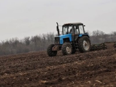 Українські аграрії вже засіяли озимими 75% від прогнозованих площ