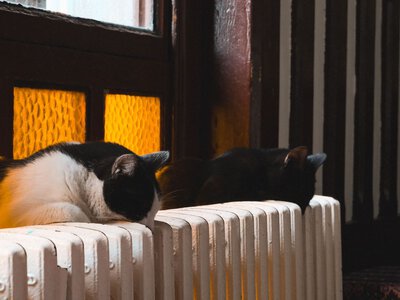 Стало відомо, коли у Миргороді розпочнеться опалювальний сезон