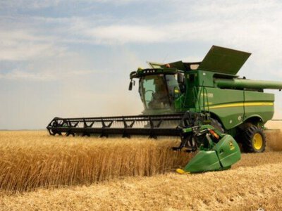 Жнива в Україні: дві культури показали результат, який перевершив торішній