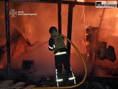 Екологи підрахували ціну вересневих обстрілів для довкілля Житомирщини