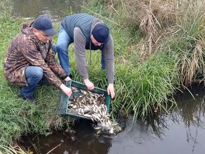 Боромлянське водосховище поповнили понад тонною риби