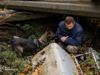 У Вінниці кінологи ДСНС і поліції тренували службових собак для пошуку людей під завалами