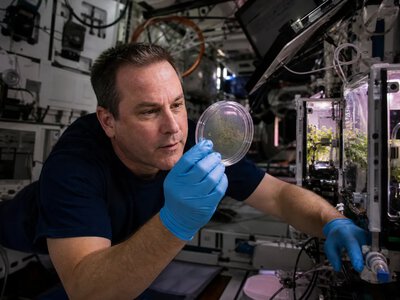 Астронавт NASA Люк Делані проводить ботанічні досліди на МКС
