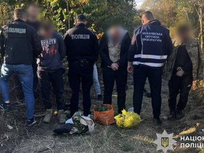 Плантація конопель біля Латориці: на Мукачівщині затримали трьох чоловіків (ФОТО, ВІДЕО)