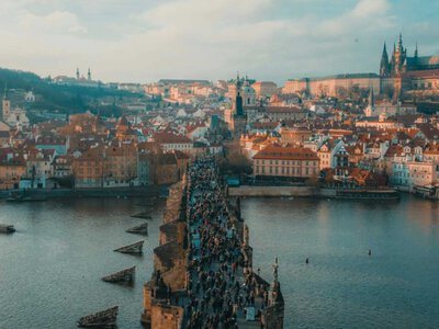Урізання виплат удвічі та депортація: країна ЄС змінює правила для українських біженців (Відео)