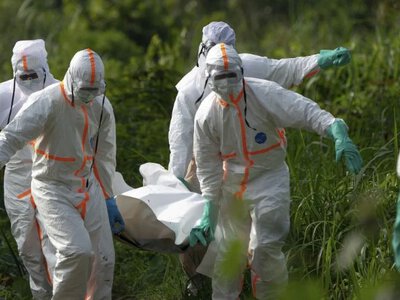 Ебола поширюється Африкою: Нігерія стала п’ятою країною зі спалахом, що відомо