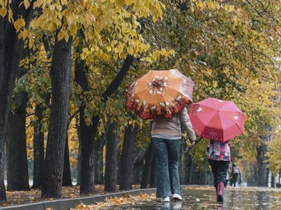 Якою буде погода на Закарпатті 22 жовтня
