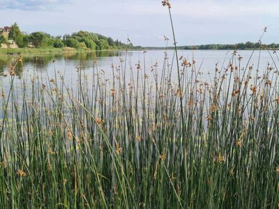 В деяких річках на Волині фіксують незначне підвищення рівнів води