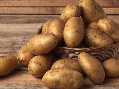 Українці залишаться без картоплі: що кажуть фермери про врожай?