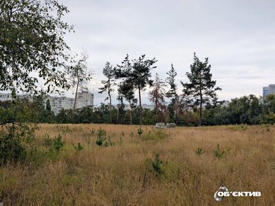 Небезпека навіть ногами: людей просять не відвідувати ліси під Харковом