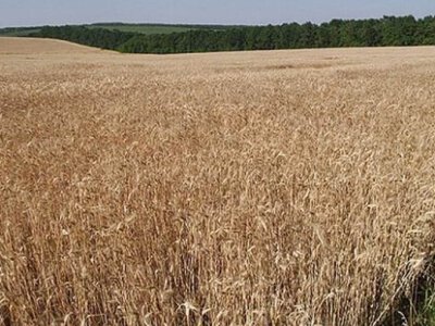 Одещина увійшла до трійки лідерів за надходженнями плати за землю