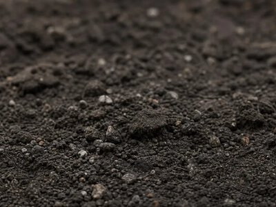 У ґрунті Чорнобиля виявили стійкі радіоактивні частинки — ScienceDaily