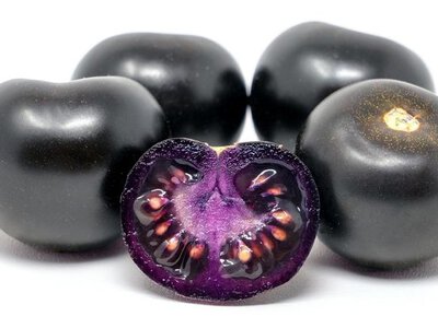Фіолетові томати Purple Bliss: агрохіт сезону