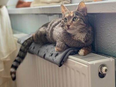 Як підготувати оселю до зими, розповідають вінничанам