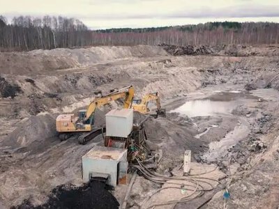 Ще п’ять бурштинових ділянок на Рівненщині виставили на аукціони