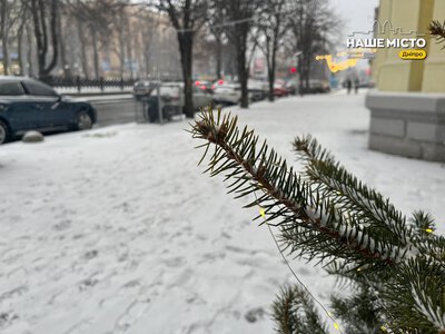 Перший сніг в Україні: прогноз на кінець листопада 2026