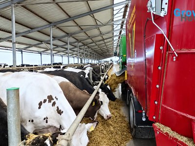 Самохідний кормозмішувач забезпечує весь цикл годівлі у «Велес Віта»
