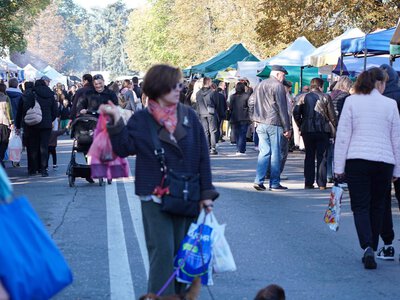 В Ужгороді вперше за сім років відкрили масштабний осінній ярмарок: понад 110 виробників і вісім фудкортів