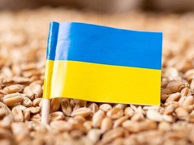 Підозріле зерно — під мікроскоп: як в Європі шукатимуть викрадену агропродукцію України