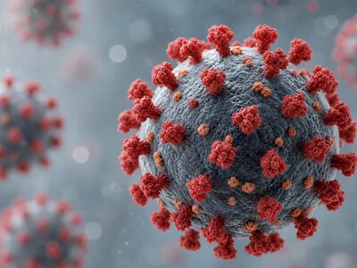 Зафіксовано перше інфікування людини вірусом Шамонда