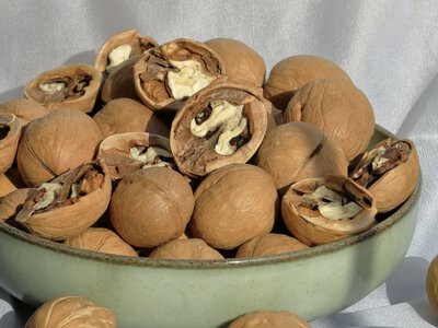 9 продуктів із вмістом білка більшим ніж у м'ясі