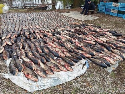 На Дніпропетровщині шестеро браконьєрів завдали збитків на 5,4 млн грн
