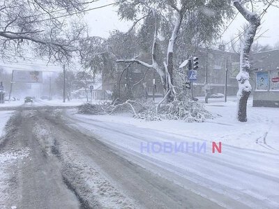 Якою буде зима 2026–2027 в Україні: Укргідрометцентр попередив про морози