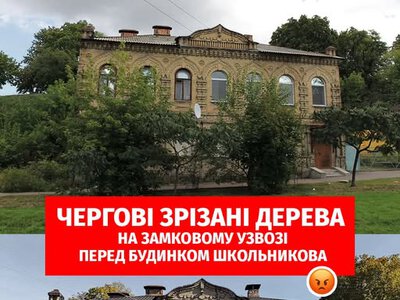 Зрізали дерева перед «Будинком Школьникова»