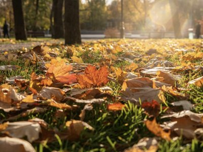 До 17° тепла: погода на Франківщині 25 жовтня