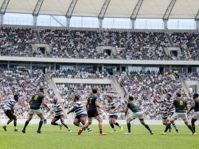 Stormers перемогли Scarlets 52:40 у Кейптауні — TimesLIVE